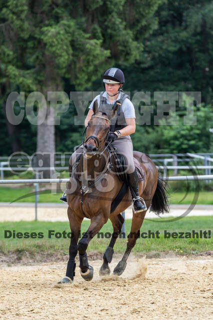 Hunter Geländetraining 10.07.2021 (Sonsbeck)