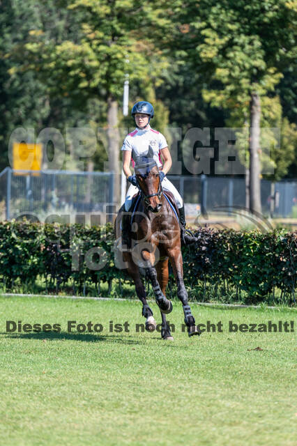 Kronenberg - De Peelbergen (August 2020)