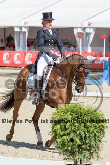 FEI European Championship Eventing 2017