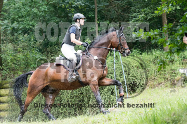 RFV Bad Honnef