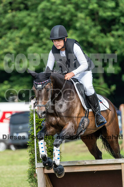 Goldene Schärpe 2021 - Ponys