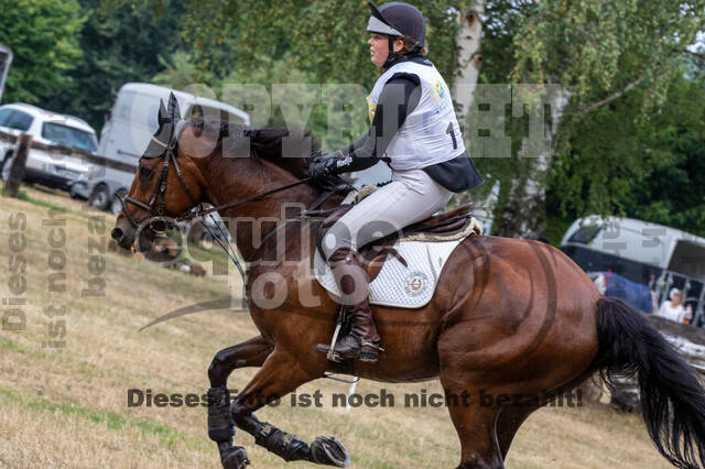 Late-Entry Vielseitigkeit Hamminkeln/Wesel (01.+02.08.2020)