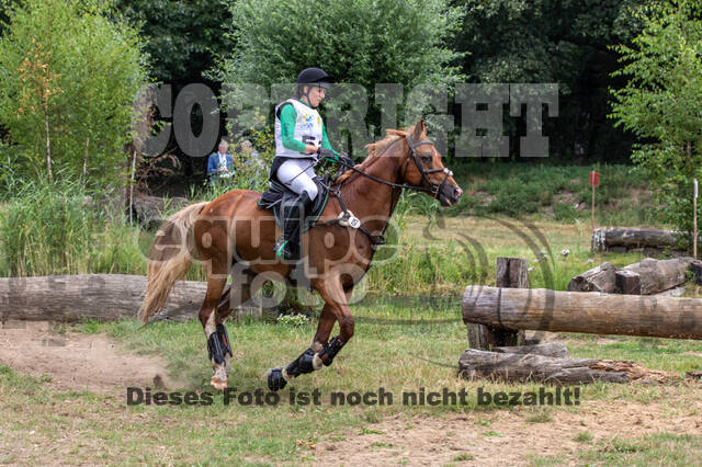 Late-Entry Vielseitigkeit Hamminkeln/Wesel (01.+02.08.2020)