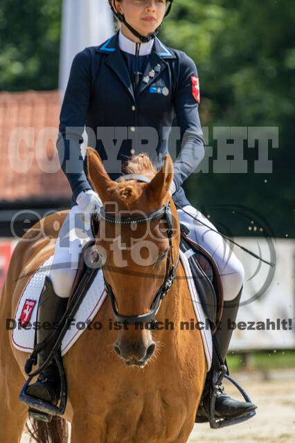 Goldene Schärpe 2021 - Ponys