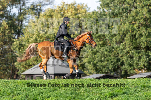 IGV Lehrgang der Sieger der Cups mit Frank Ostholt