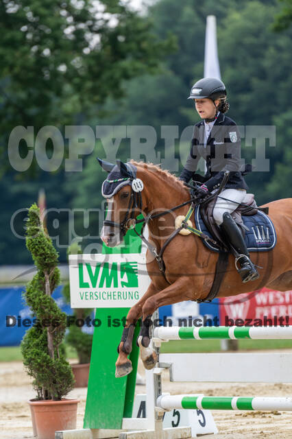 Goldene Schärpe 2021 - Ponys