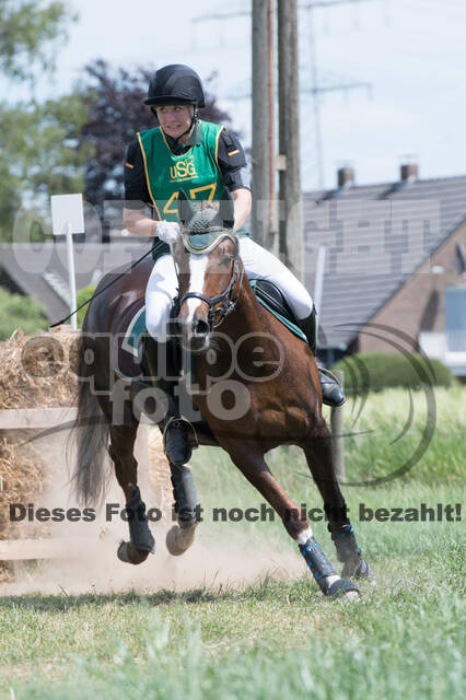 Vielseitigkeitsturnier ZRuFV von Lützow Hamminkeln