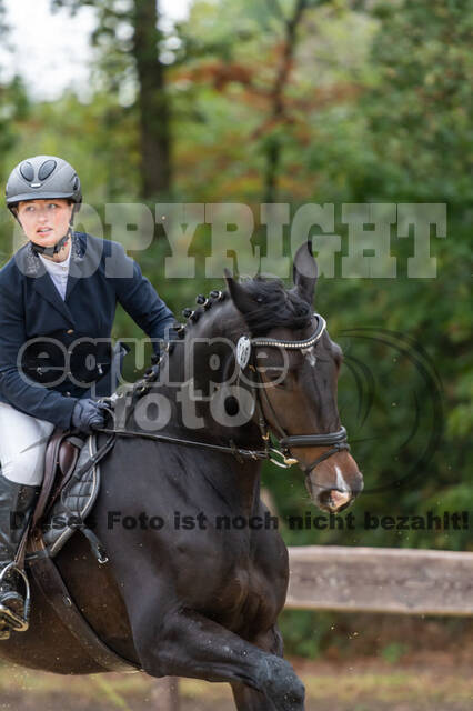 Vielseitigkeit RSV Wesel Obrighoven (26.+27.09.2020)