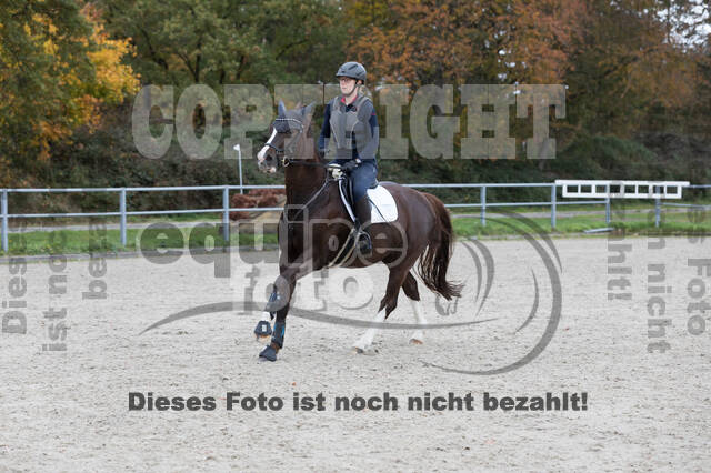 IGV Lehrgang der Sieger der Cups mit Frank Ostholt