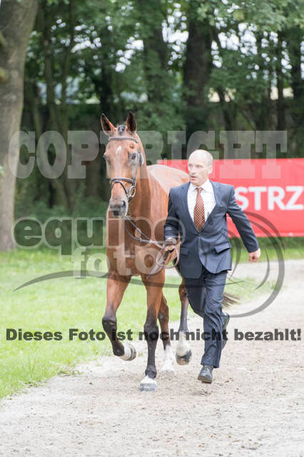 FEI European Championship Eventing 2017