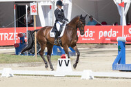 FEI European Championship Eventing 2017