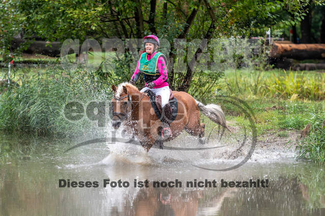 Vielseitigkeit RSV Wesel Obrighoven (26.+27.09.2020)