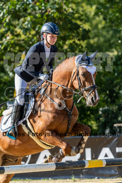 RFV Dinslaken-Hiesfeld (Herbstturnier)