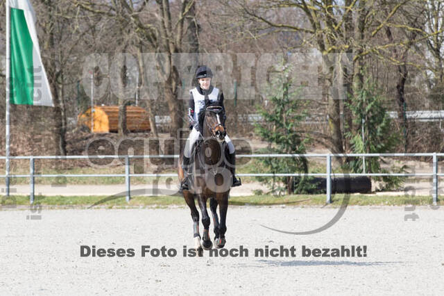 Eventing Langenfeld 2018