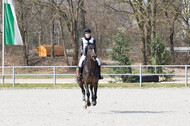 Eventing Langenfeld 2018
