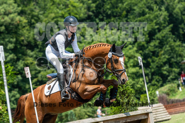 Goldene Schärpe 2021 - Ponys