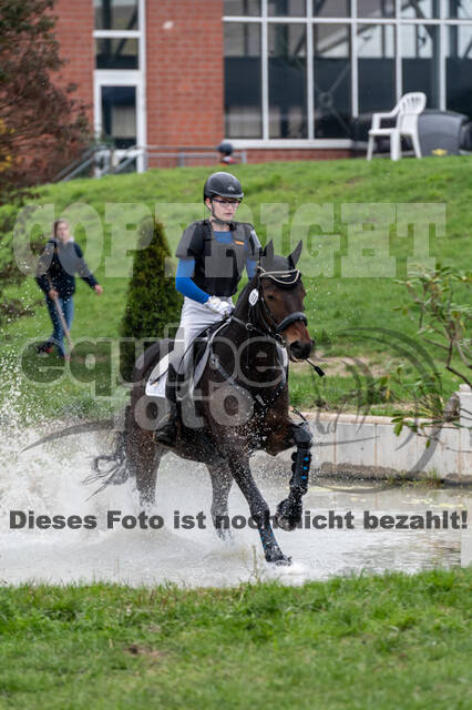 Goldene Schärpe 2020 - Pferde