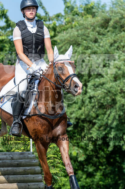 Goldene Schärpe 2021 - Ponys