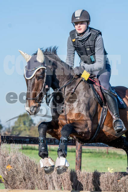 Vielseitigkeitslehrgang mit Jürg Kurbel (9.+10.11.2019)