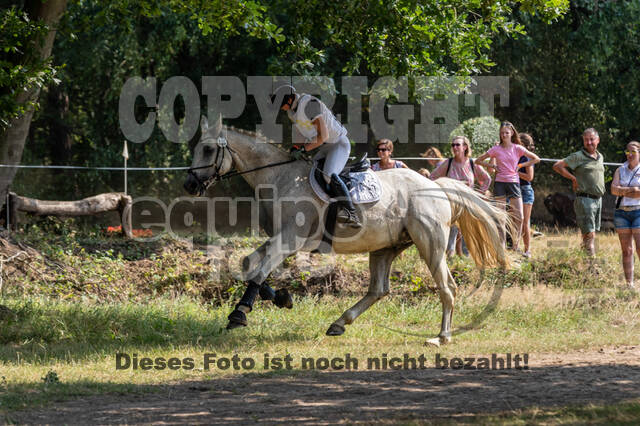 Late-Entry Vielseitigkeit Hamminkeln/Wesel (01.+02.08.2020)