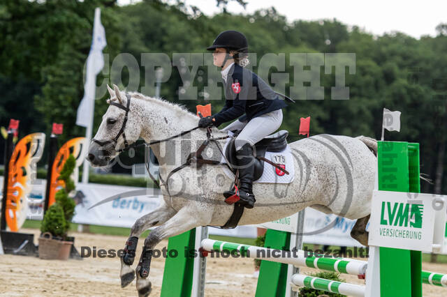 Goldene Schärpe 2021 - Ponys
