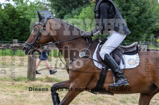 Late-Entry Vielseitigkeit Hamminkeln/Wesel (01.+02.08.2020)