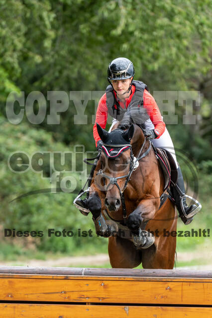 Late-Entry-Vielseitigkeit Langenfeld (06.+07.07.2020)