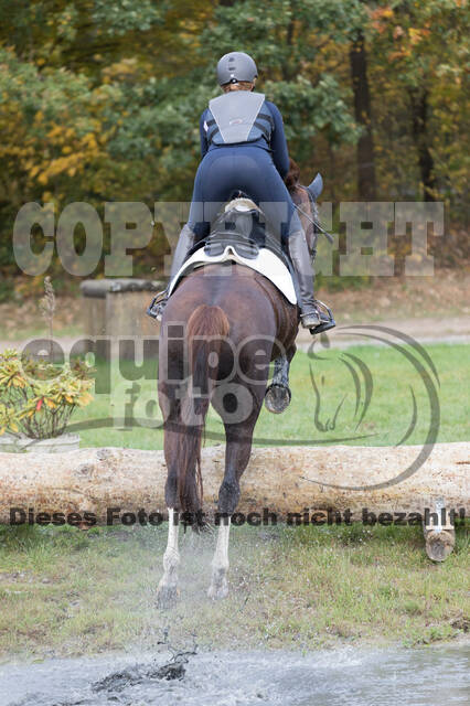 IGV Lehrgang der Sieger der Cups mit Frank Ostholt