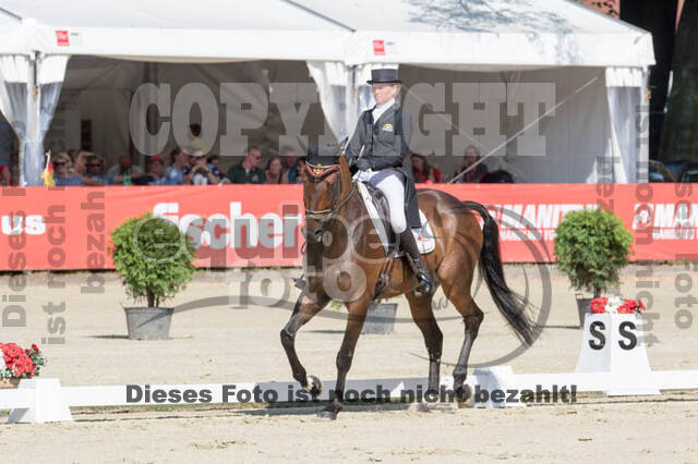 FEI European Championship Eventing 2017