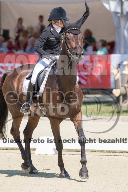 FEI European Championship Eventing 2017