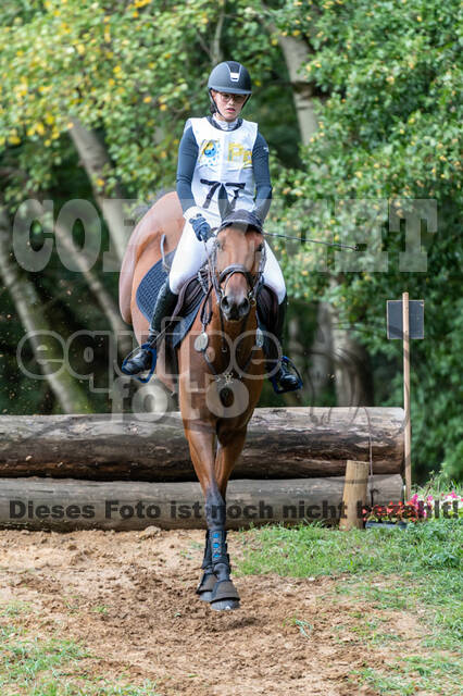 Vielseitigkeit RSV Wesel Obrighoven (26.+27.09.2020)