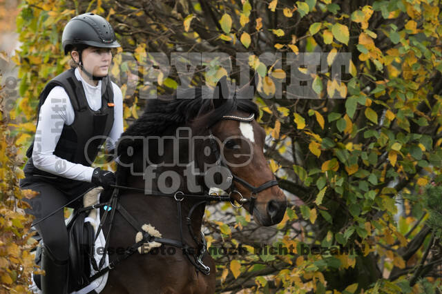 IGV Lehrgang der Sieger der Cups mit Frank Ostholt