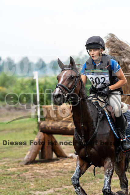 De Peelbergen (August 2020)