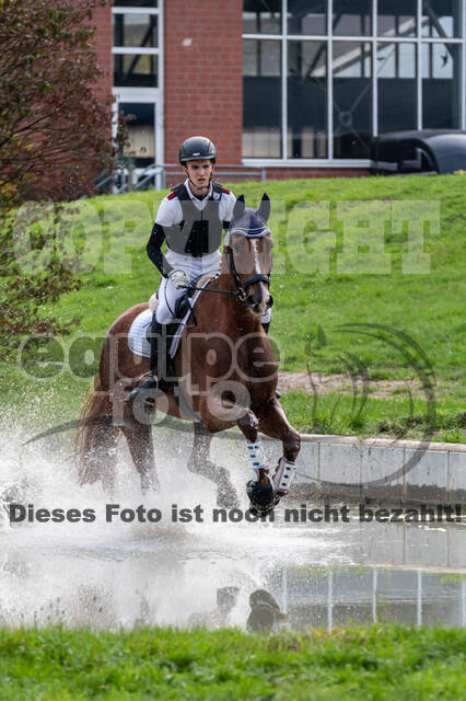 Goldene Schärpe 2020 - Pferde