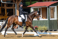Westerstede Horse Trials 2021