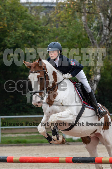 Goldene Schärpe 2020 - Pferde