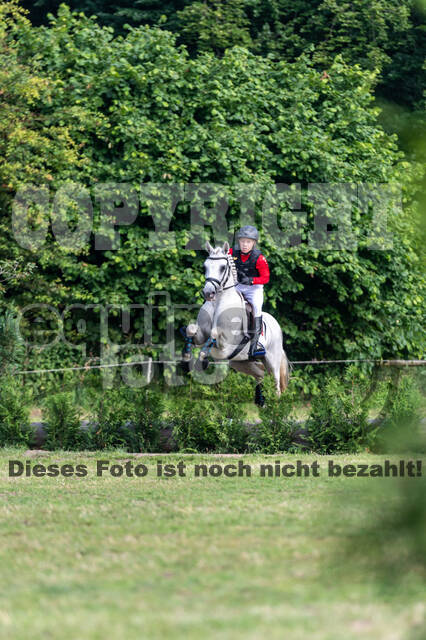 Goldene Schärpe 2021 - Ponys