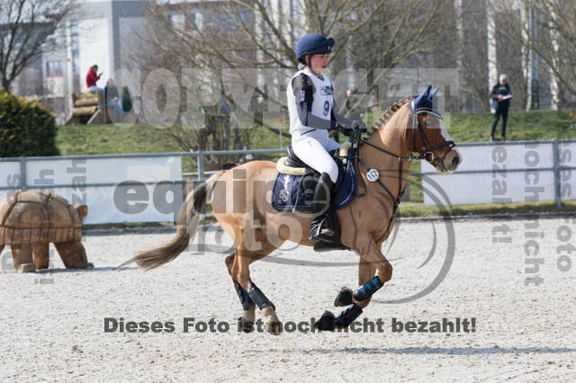 Eventing Langenfeld 2018