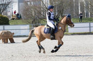 Eventing Langenfeld 2018