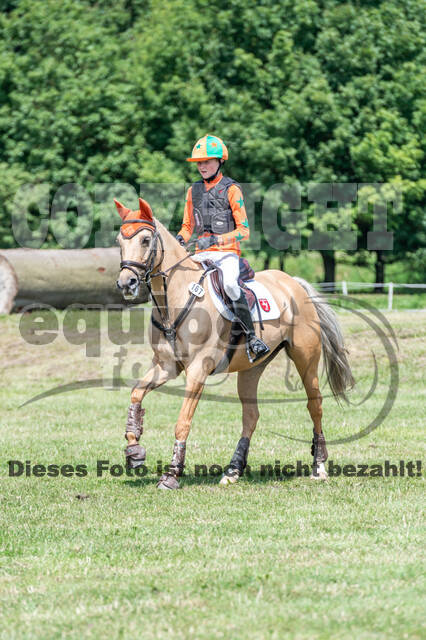 Goldene Schärpe 2021 - Ponys