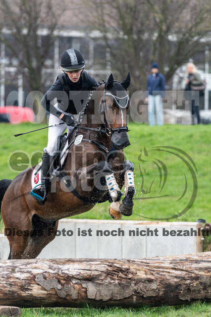 Goldene Schärpe 2020 - Pferde