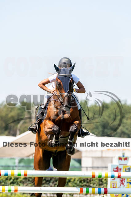 Kronenberg - De Peelbergen (August 2020)