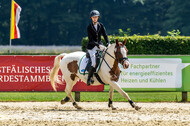 Goldene Schärpe 2021 - Ponys