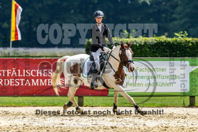 Goldene Schärpe 2021 - Ponys