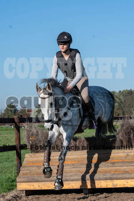 Vielseitigkeitslehrgang mit Jürg Kurbel (9.+10.11.2019)