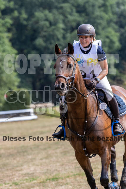 Late-Entry Vielseitigkeit Hamminkeln/Wesel (01.+02.08.2020)