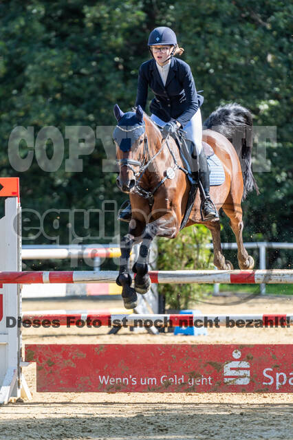 RFV Dinslaken-Hiesfeld (Herbstturnier)