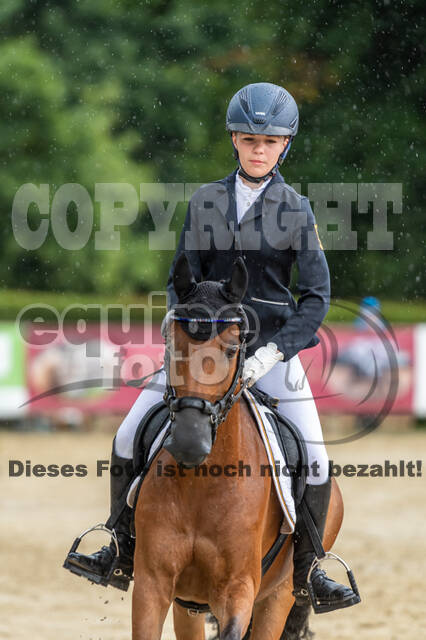 Goldene Schärpe 2021 - Ponys