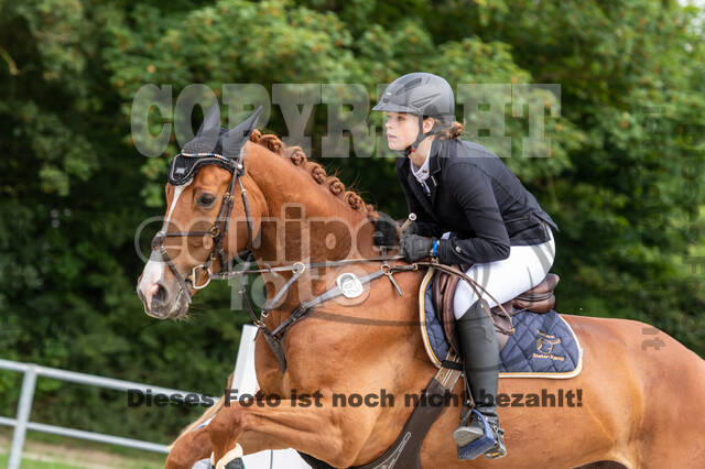 Late-Entry-Vielseitigkeit Langenfeld (06.+07.07.2020)