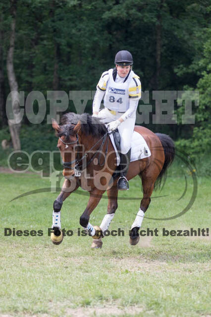 Vielseitigkeitsturnier ZRFV von Lützow Hamminkeln